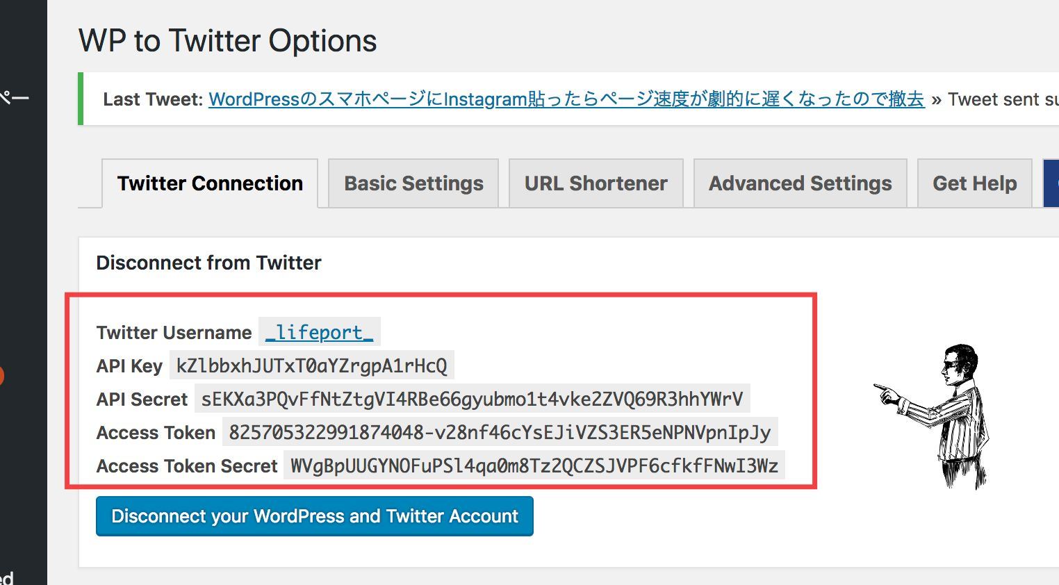 19年最新 Wp To Twitterプラグインの設定方法 記事をtwitter で自動投稿 Lifeport