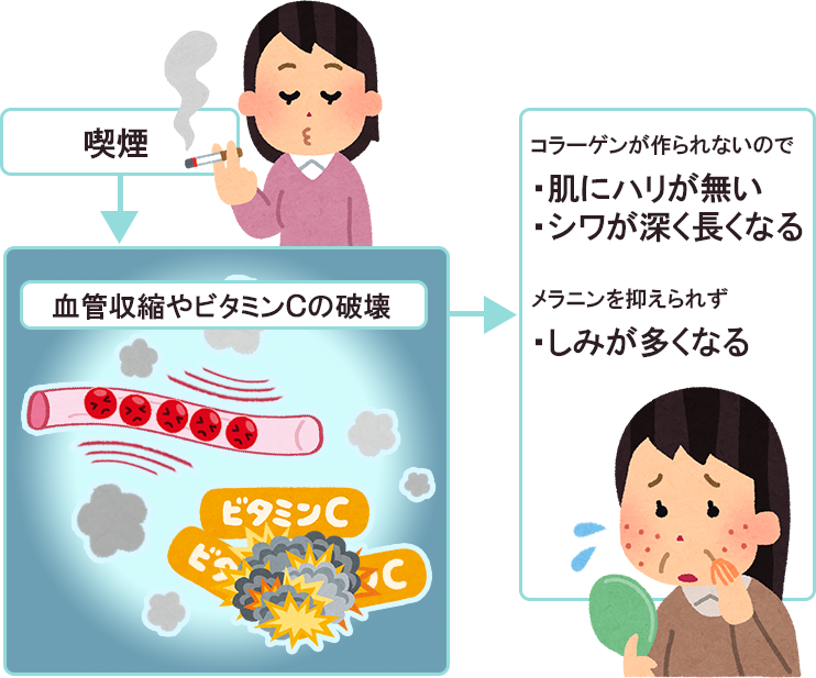 10のルール 理想の美肌男子になるスキンケアとは キレイな美肌になるための生活習慣 Lifeport 10のルール 理想の美肌男子になるスキンケアとは キレイな美肌になるための生活習慣 Lifeport