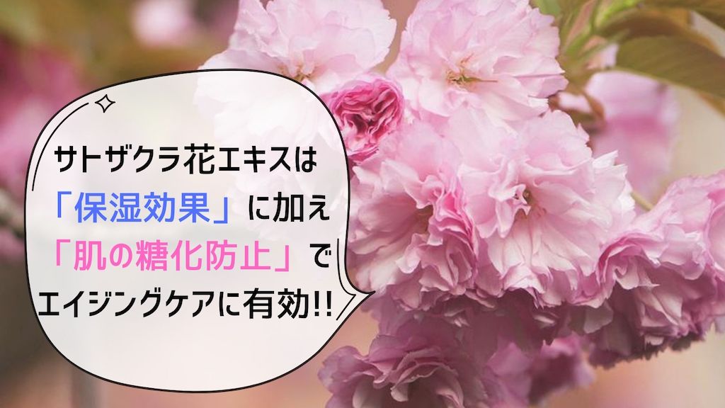サトザクラ花エキスは桜の力で肌の老化をケアする「和」の美容エキス
